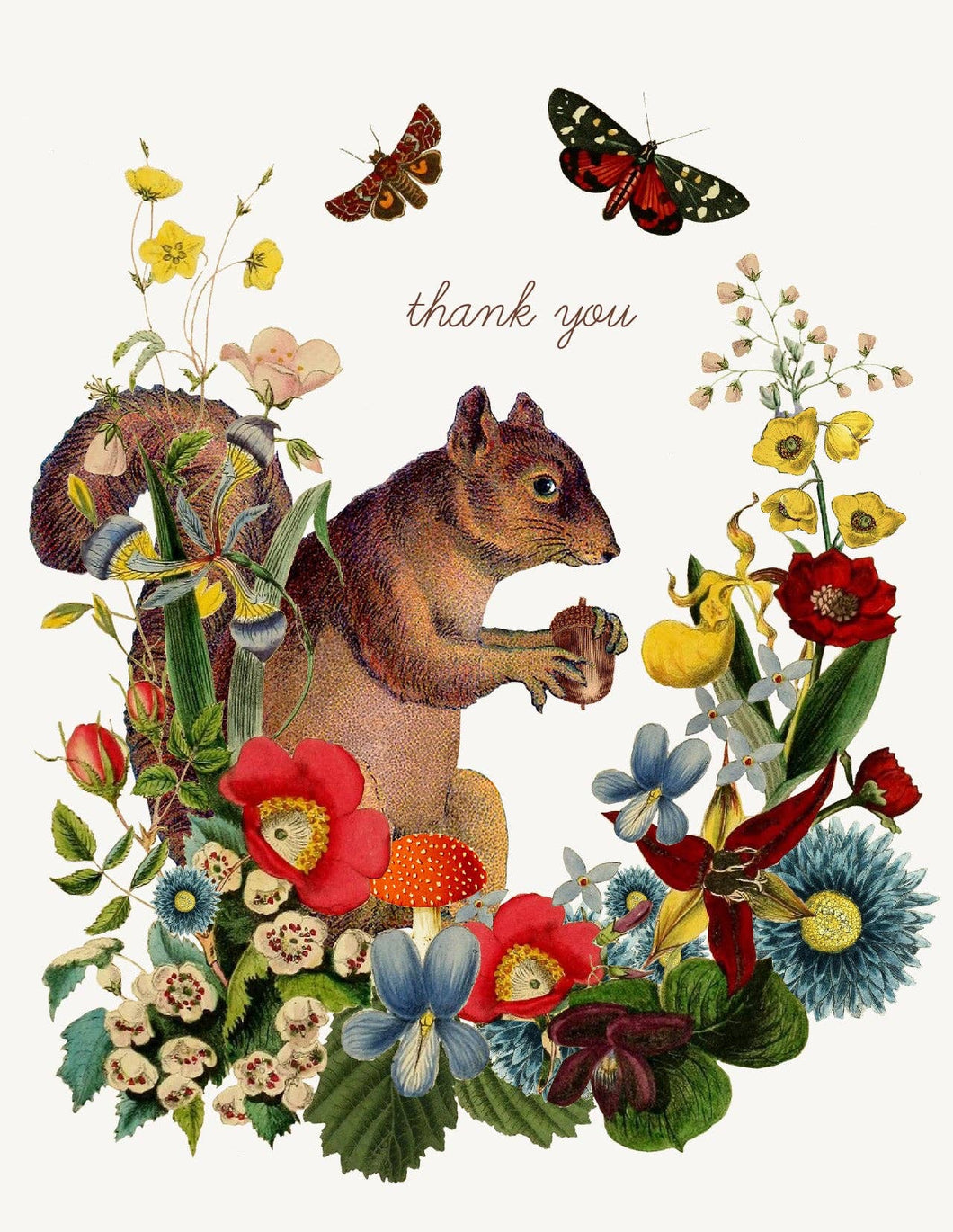 P. Flynn Design / Phun House - Thank You (squirrel)• A-2 Greeting Card