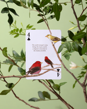 Load image into Gallery viewer, Eastern Forest Playing Cards
