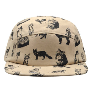 Cats! 5 Panel Hat